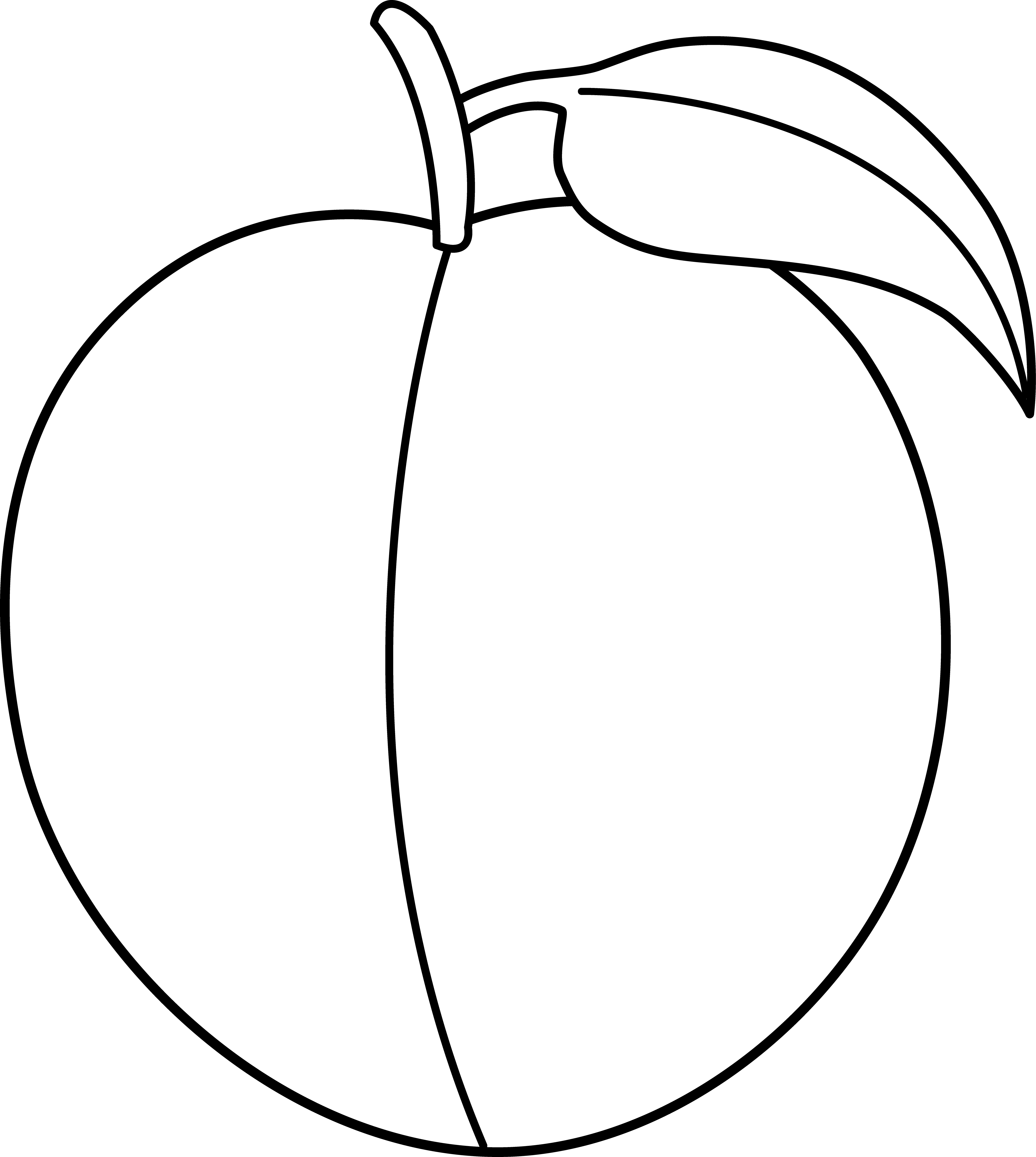 Peach Clip Art Black And White - Peach Clipart Black And White Png (4911x5484)