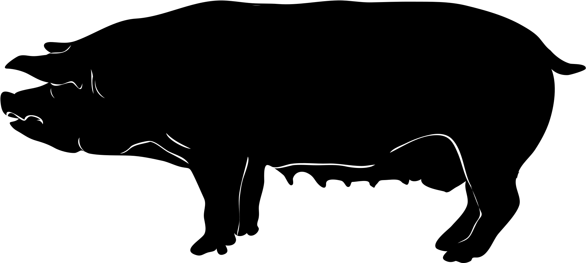 Filepig Silhouette - Pig Graphic (2000x935)
