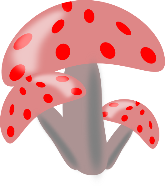 Free Vector Ciuperci Mushrooms Clip Art - เห็ด คลิป อาร์ต (528x595)