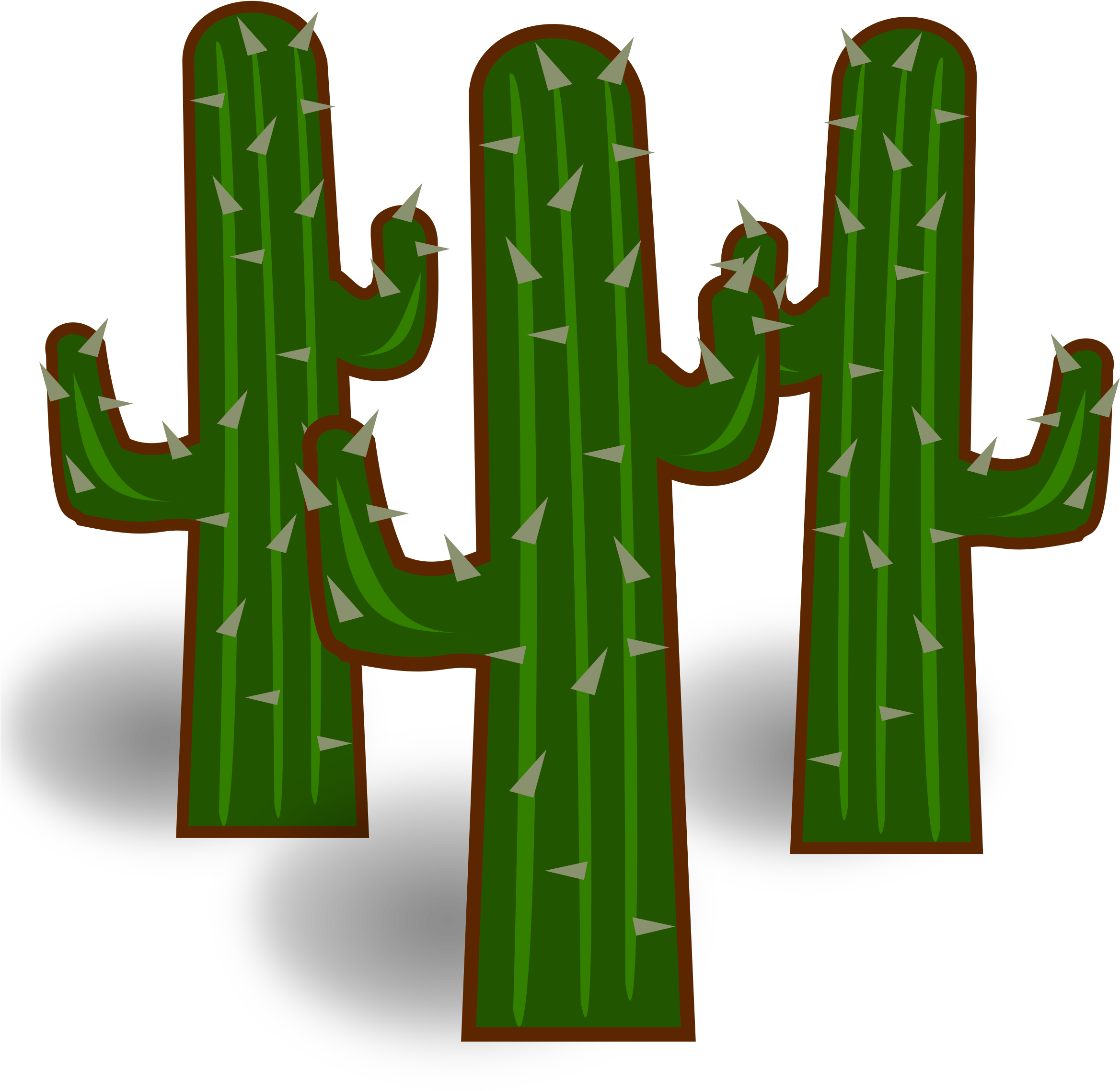 Cactus Transparent (2400x2400)