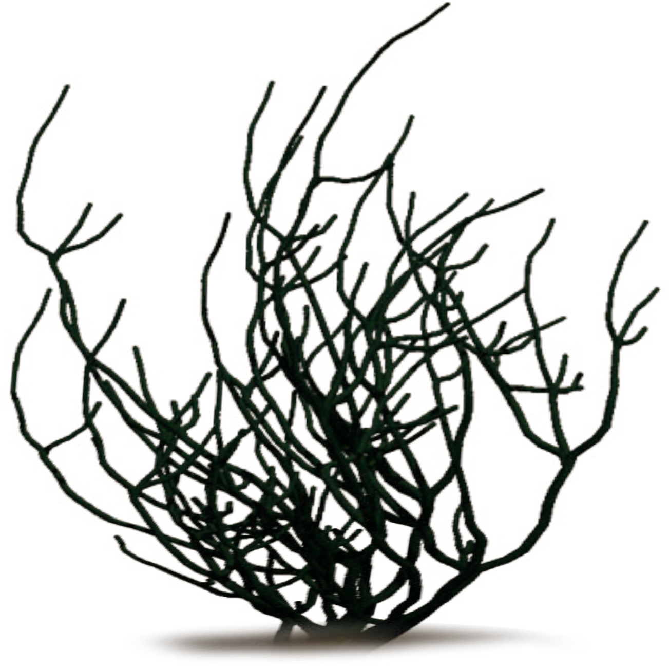 Th Anniversary Clip Art Free High Resolution Graphics - Grass (1303x1296)