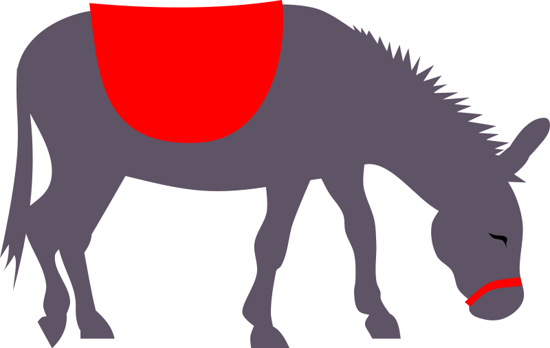 Donkey Clipart - Donkey Ride Clipart (1186x750)