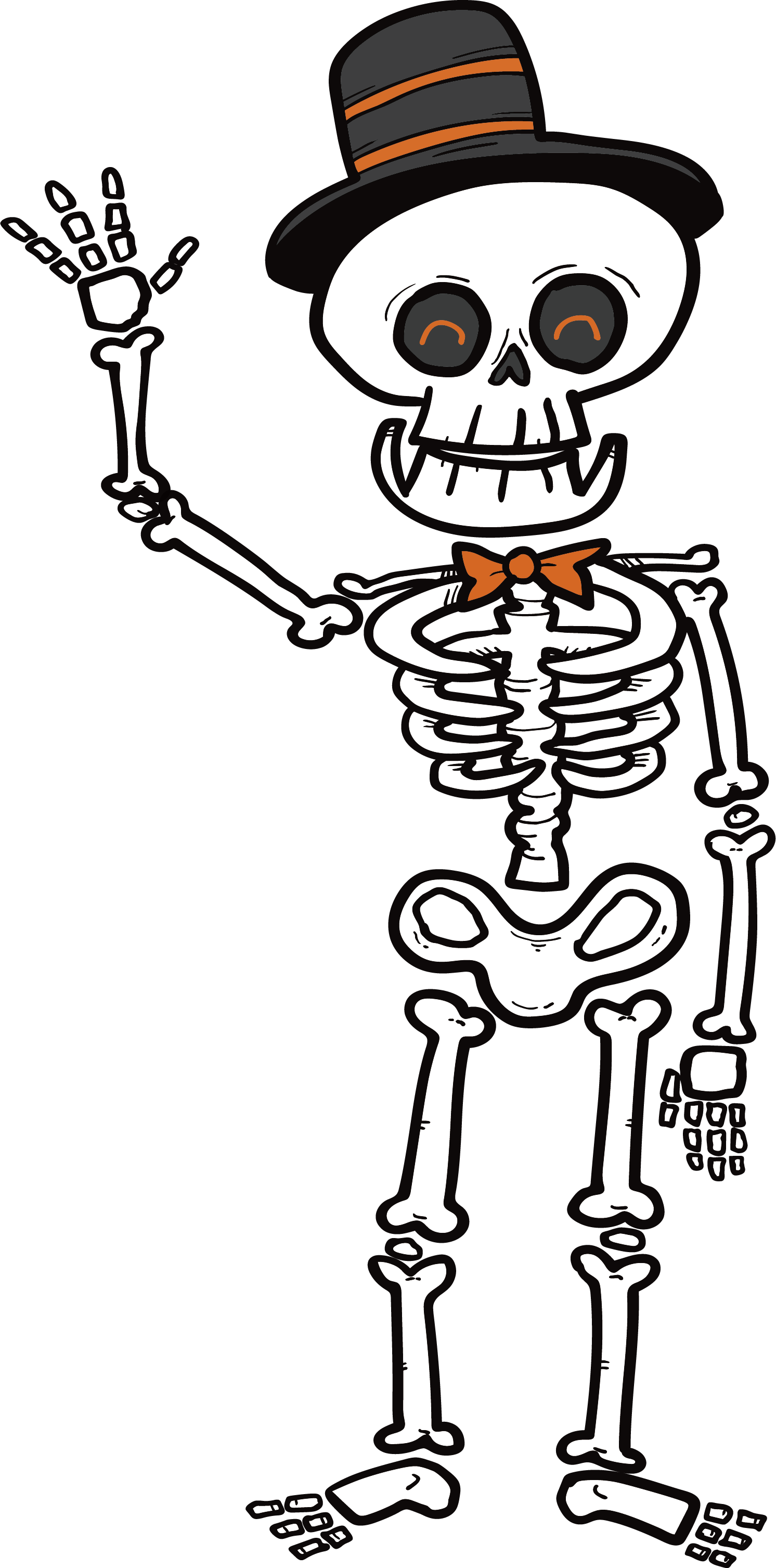 Human Skeleton Microsoft Powerpoint Clip Art - Human Skeleton Microsoft Powerpoint Clip Art (1492x3013)