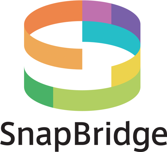 Share - Nikon Corporation (706x600)