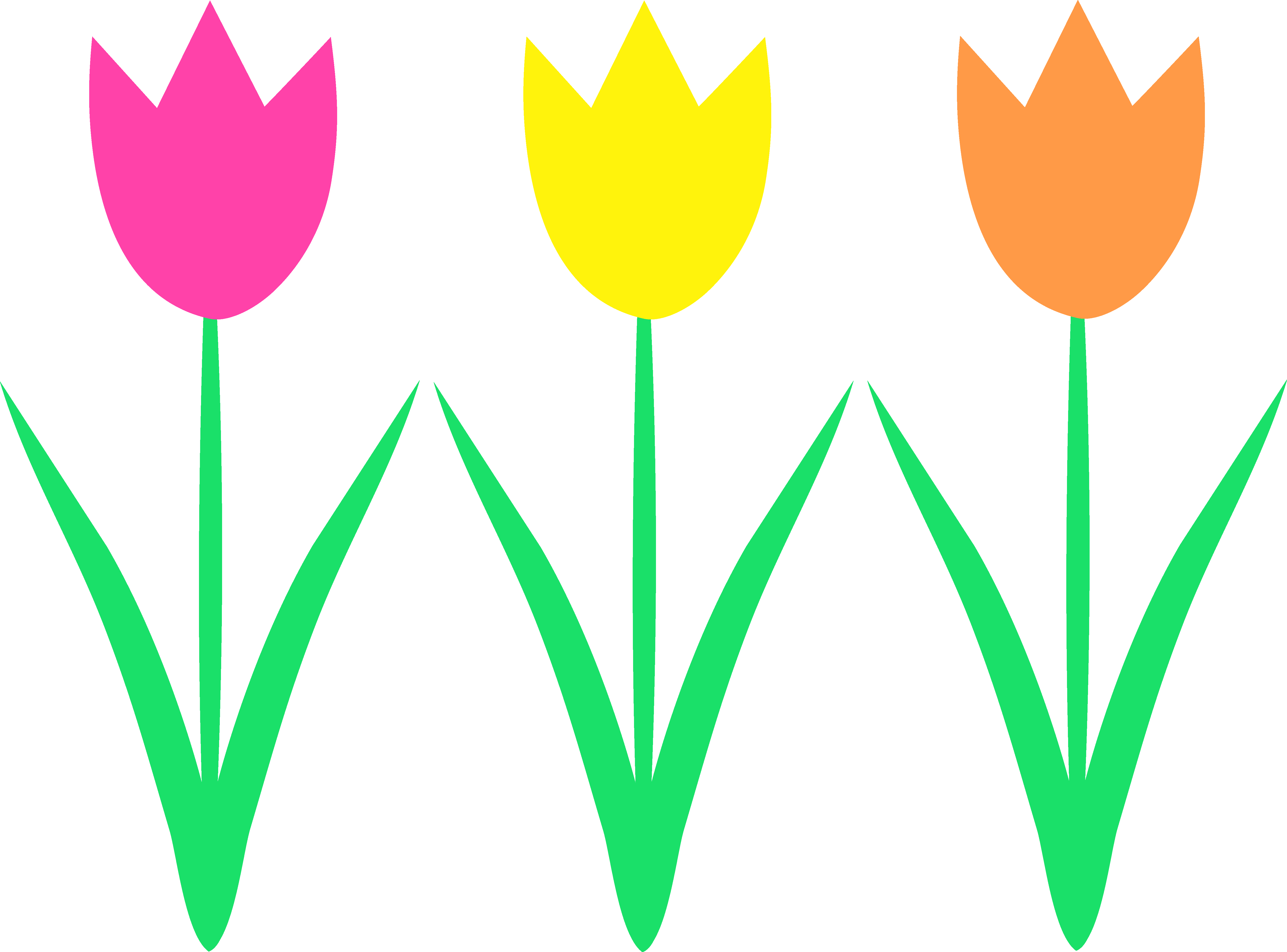 Borders On Pictures - Spring Tulips Clip Art (5627x4161)