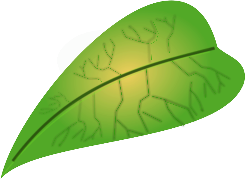 Green Leaf Small Clipart 300pixel Size Free Design À¹à¸à¹à¸¡ À¸ª À¹à¸ À¸¢à¸§ À¸à¸²à¸£ À¸ À¸ 900x675 Png Clipart Download