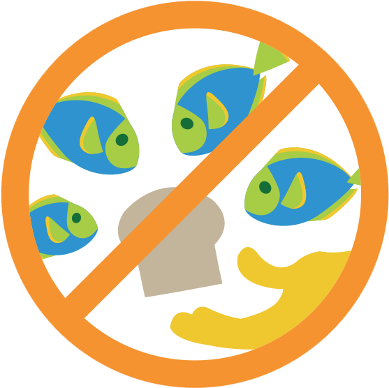 Don't Feed Fish - Don T Feed The Fish Sign (591x597)