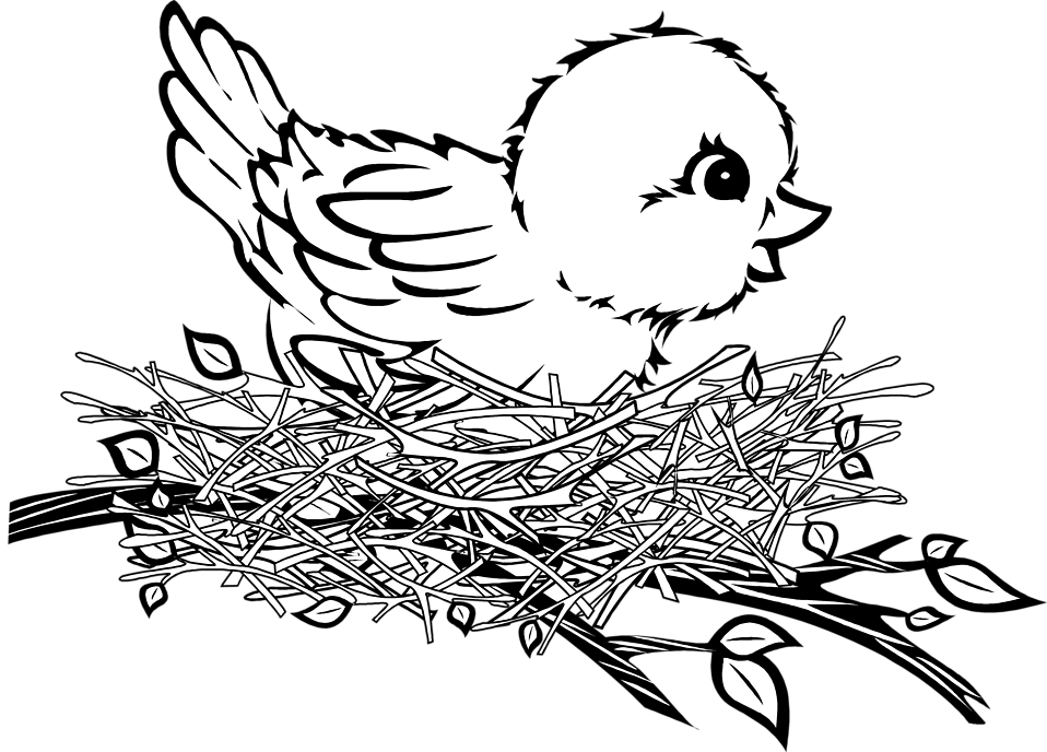 Clipart Of Birds Black And White Bird Nest Free Download - Bird In A Nest Clipart Black And White (958x688)