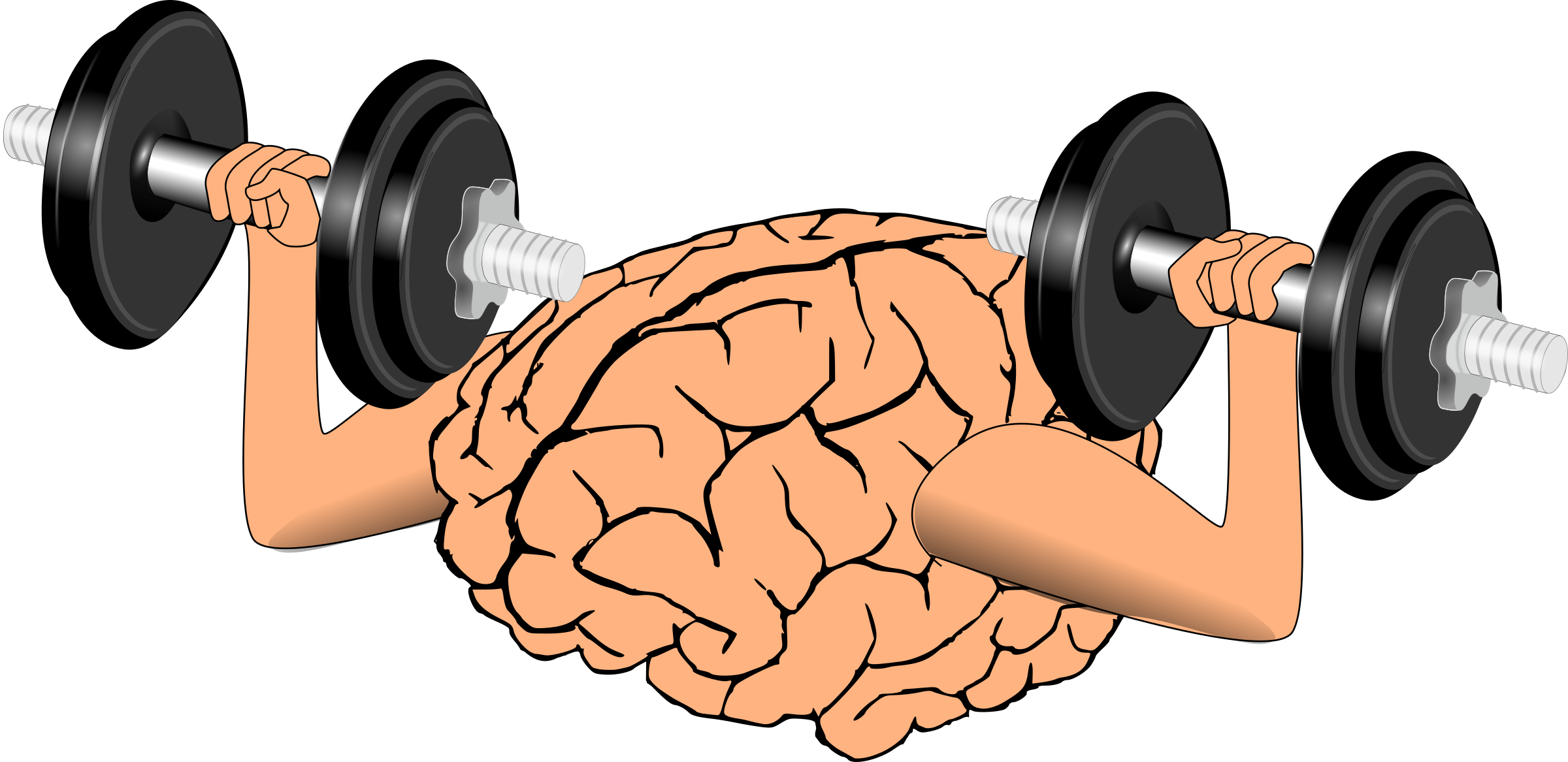Brain Training Clip Art - Brain Training Png (2400x1167)