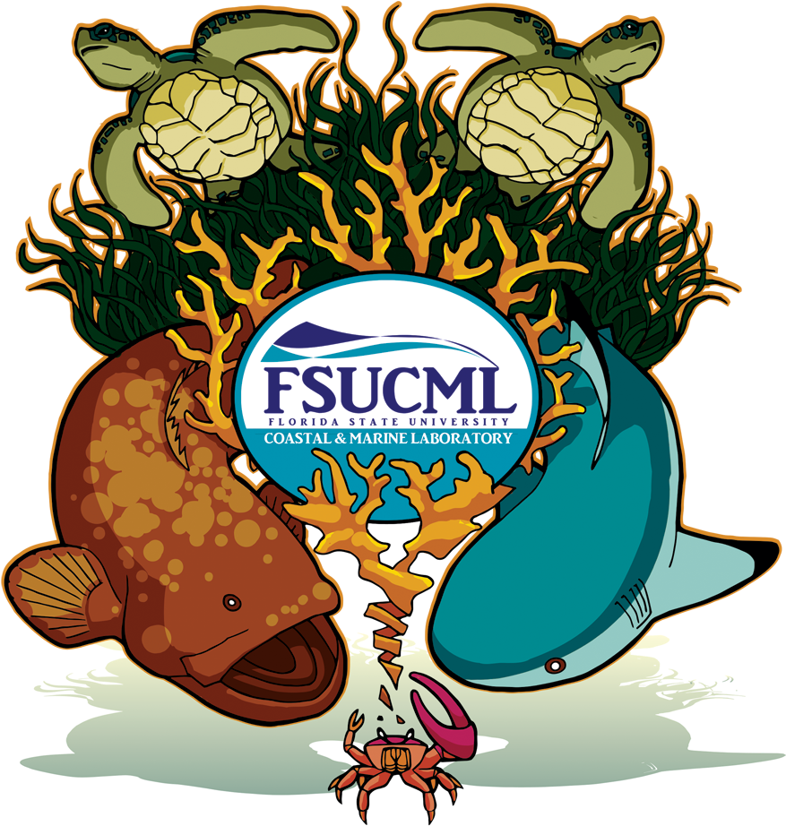 Biennial Open House - Fsu Coastal And Marine Lab (1000x1000)