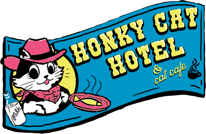 Honky Cat Hotel Honky Cat Hotel Honky Cat Hotel - Honky Cat Hotel & Cat Cafe' (692x450)