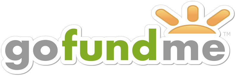 Go Fund Our Church Building - Gofundme Logo Transparent (794x258)