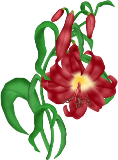 Publicat De Eu Ciresica La - Bordeaux (390x527)