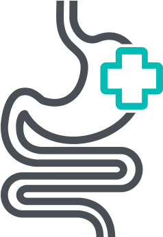 Illustration Of Gastroenterology Health - Gastroenterology (560x375)