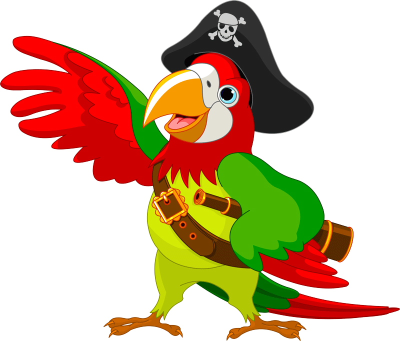 Pirate Parrot Clip Art (800x682)