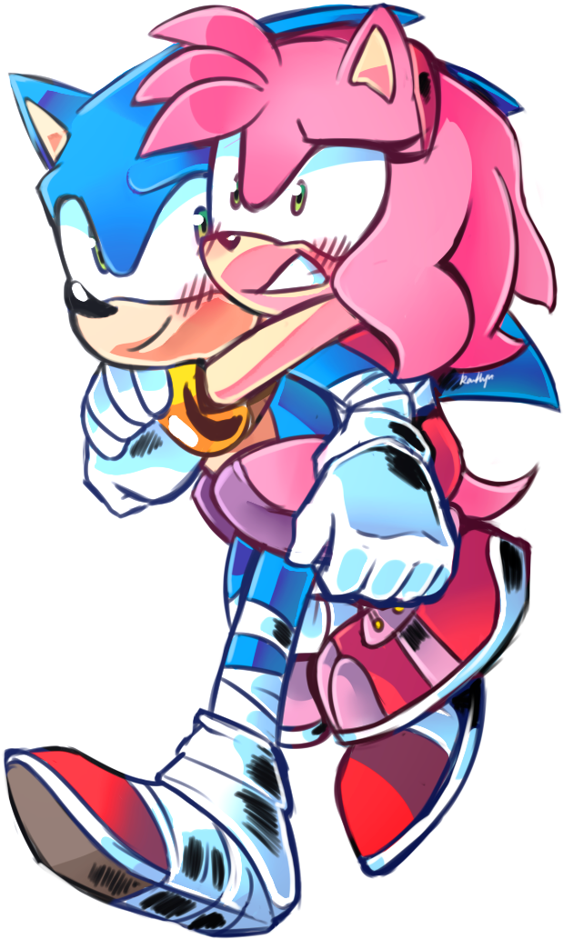 Hold On By Proboom On Deviantart - Sonamy Boom Png (713x1113)