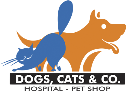 Cat Silhouette (425x300)