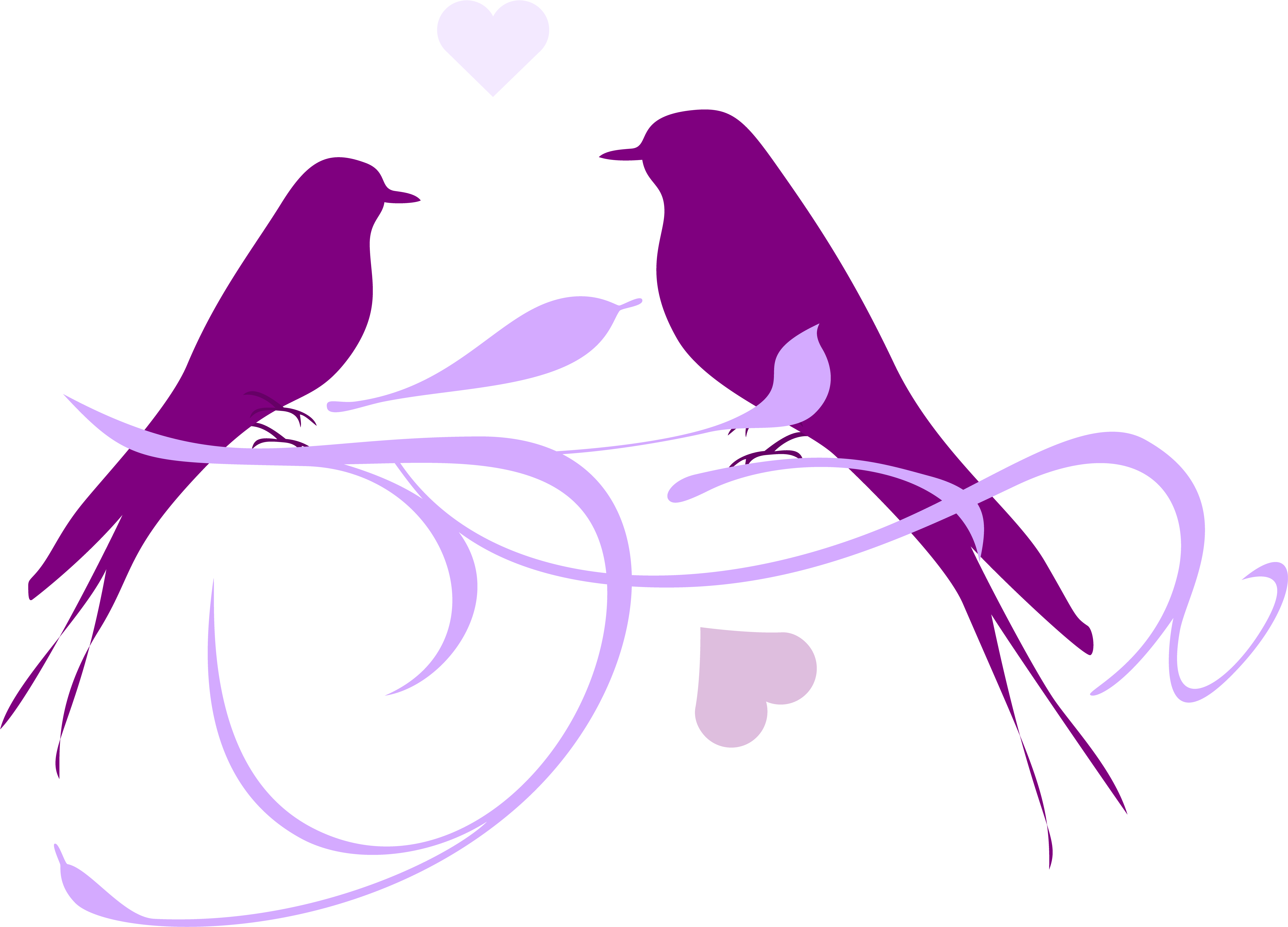 Lovebird Clip Art - Lovebird Clip Art (6983x5000)