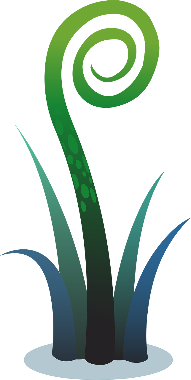 Plant Fern Clip Art - Plant Fern Clip Art (644x1280)