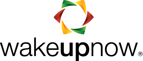 Delaware Funds By Macquarie Logo (600x258)