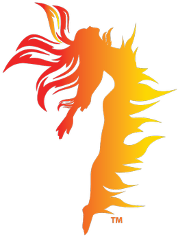 Woman On Fire - Woman On Fire Png (400x400)