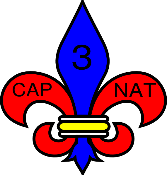 St Joan Of Arc School Logo (570x598)