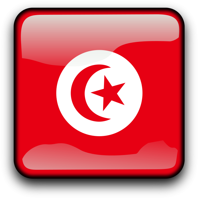 Get Notified Of Exclusive Freebies - Tunisia Flag (900x900)