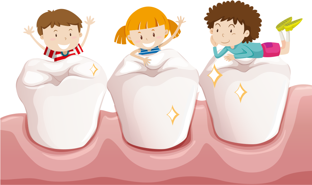 Tooth Child Teeth Cleaning Deciduous Teeth - Tooth Child Teeth Cleaning Deciduous Teeth (1000x1000)