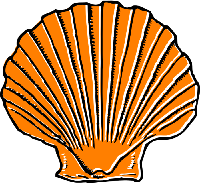 Blue Seashell Clipart Bclipart Free Clipart Images - Clipart Sea Shell (700x642)