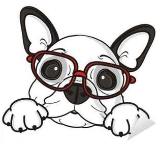 Glasses, Dog, French, Bulldog, Breed, Background, White, - Bulldog Puppies Clipart (400x400)