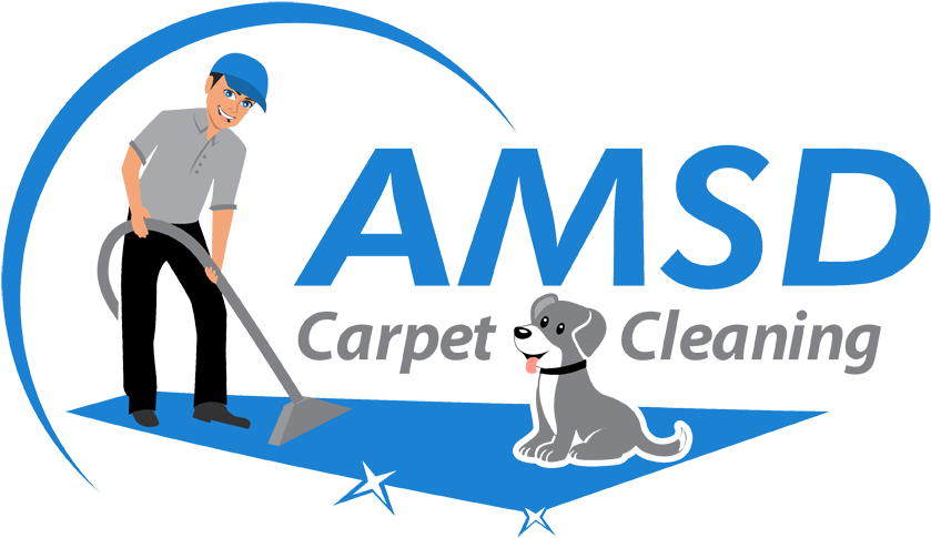 Amsd Carpet Cleaning - Security (860x501)