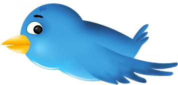 Follow The Following Steps - Twitter Bird (360x360)