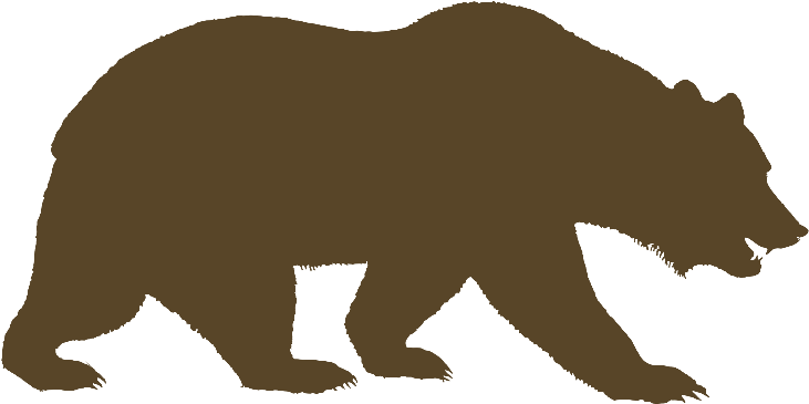 University Of California, Berkeley American Black Bear - University Of California, Berkeley American Black Bear (960x540)