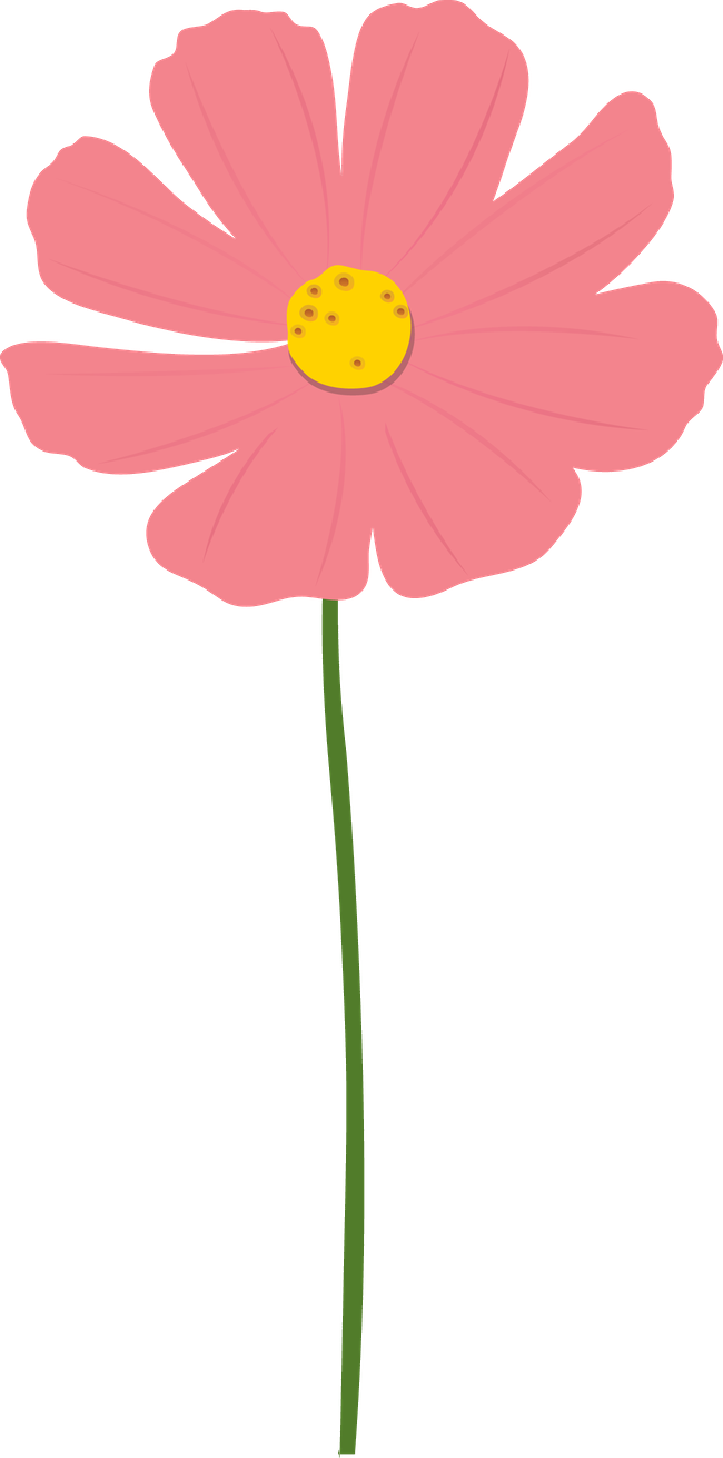 Joaninhas - Minus - Drawing (650x1311)