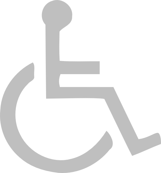 Disabled Symbol Sign - Satin Stainless Steel (552x595)