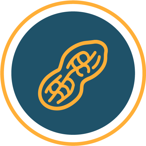 David's Peanut Butter Stroopwafel - David's Peanut Butter Stroopwafel (517x539)