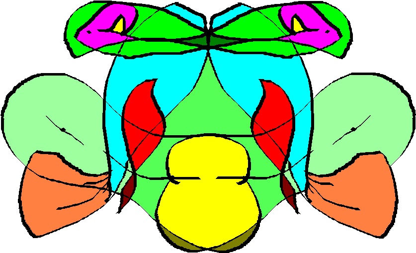 Frog Painting Clip Art - Frog Painting Clip Art (944x624)