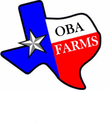 Oba Farms - For Sale - Chickens - Goats Turkey - Ducks - Texas Flag (373x413)