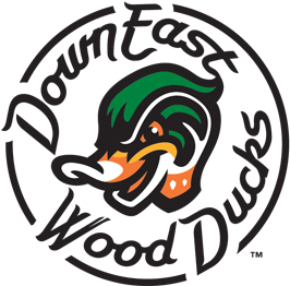 Home / Texas Rangers - Down East Wood Ducks Logo (400x400)