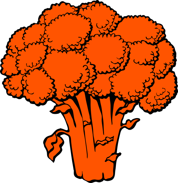 Orange Brocolli Clip Art At Clker - Orange Brocolli Clip Art At Clker (582x598)