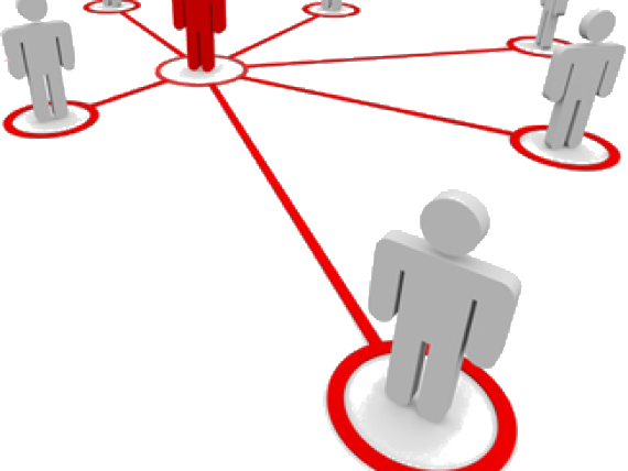 Registration, Imports, And Inspection - Registration, Imports, And Inspection (570x428)