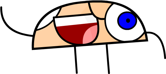 1 - Object Terror El Nudelo Spider (539x343)