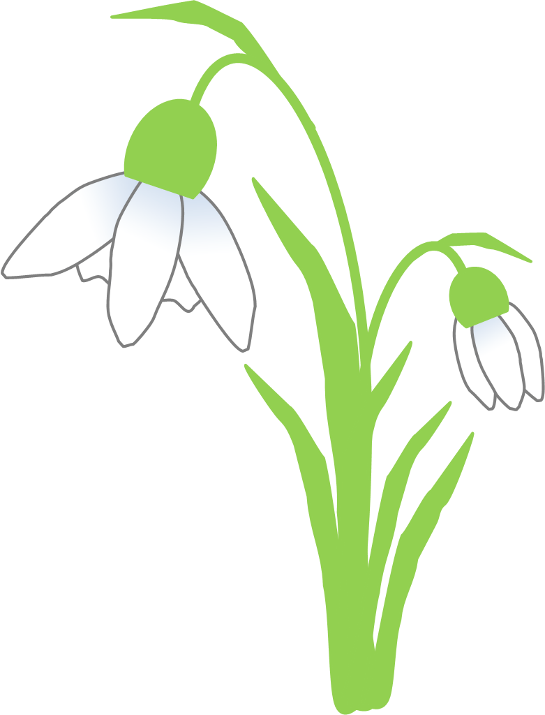 Ghiocelul - Snowdrop (781x1024)