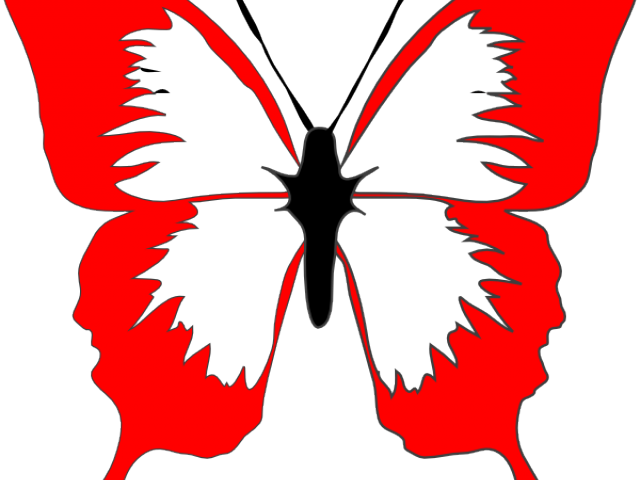 Red Butterfly Cliparts - Butterfly Black And White Clipart (640x480)