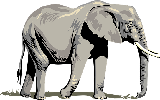 Elephant Animal Trunk Tusks Large Wild Nat - Five Animal Kingdoms (543x340)