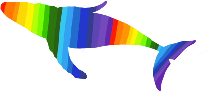 Rainbow Humpback Whale Silhouette By Balaenoptera - Rainbow Humpback Whale (999x799)