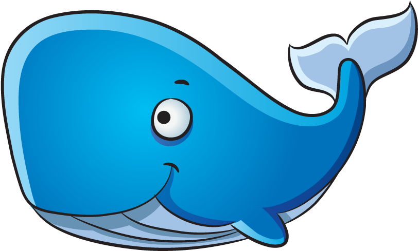 Dolphin Blue Whale Drawing Humpback Whale - Blue Whale Cartoon Drawing (956x742)