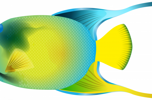 Zoom - Drawing (640x420)