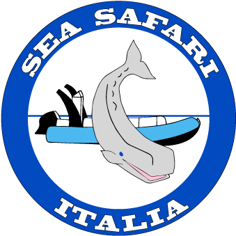 Sea Safari Whale Watching Logo - Torah Day School Of Ottawa (350x350)