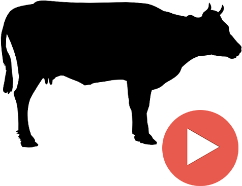 Beef Videos - Cow Clip Art Black And White (512x512)